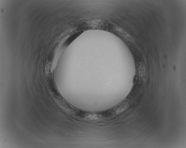 X0000081350611200702020116