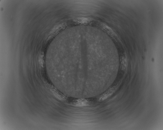 X0000081350612200702020116