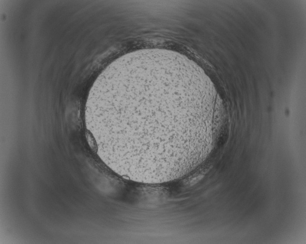 X0000081350615200702020116