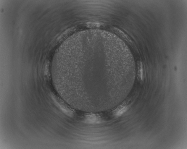 X0000081350616200702020116