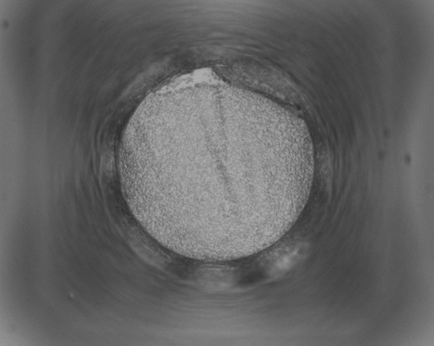 X0000081350617200702020116