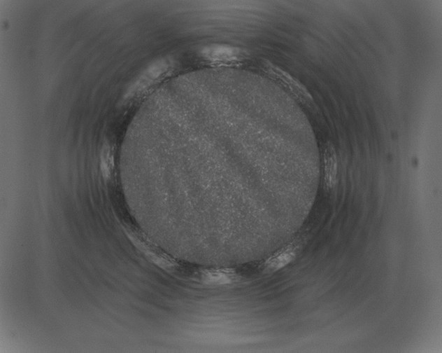 X0000081350618200702020116