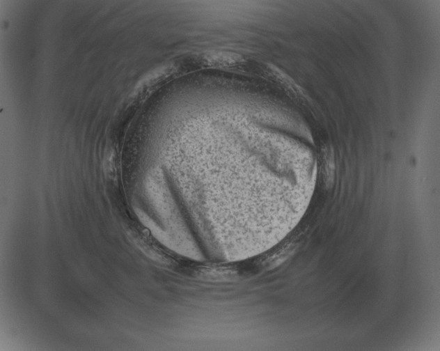 X0000081350619200702020116