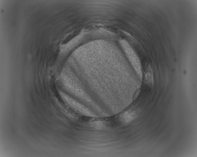 X0000081350620200702020116