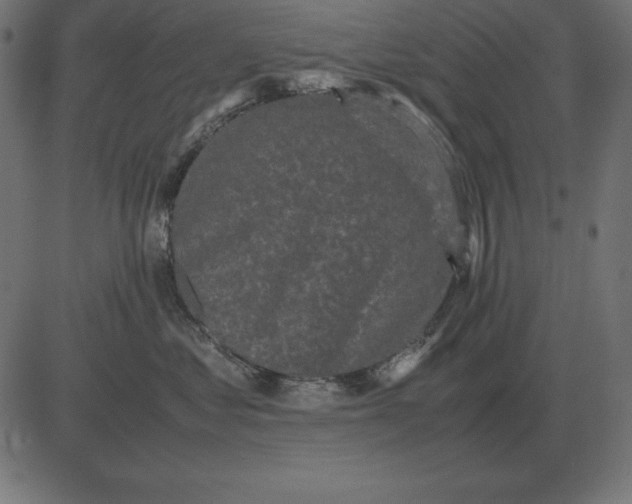 X0000081350621200702020116