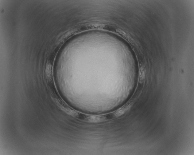 X0000081350623200702020116