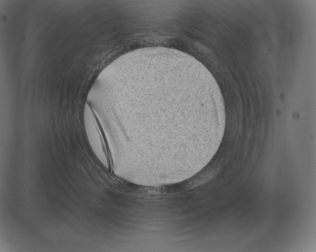 X0000081350624200702020116