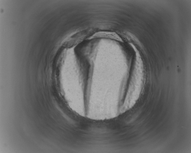 X0000081350627200702020115