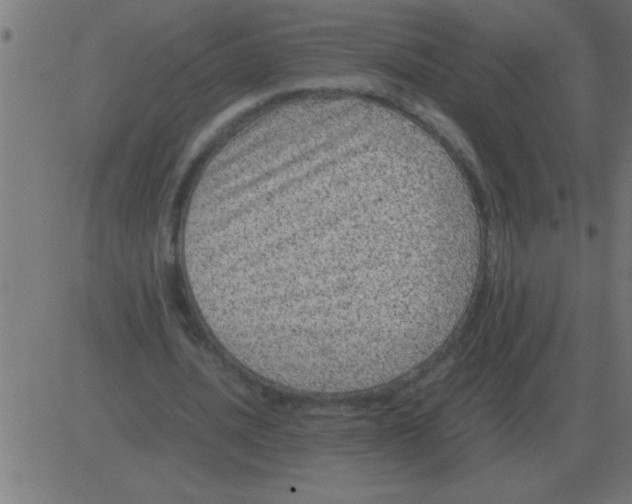 X0000081350628200702020115