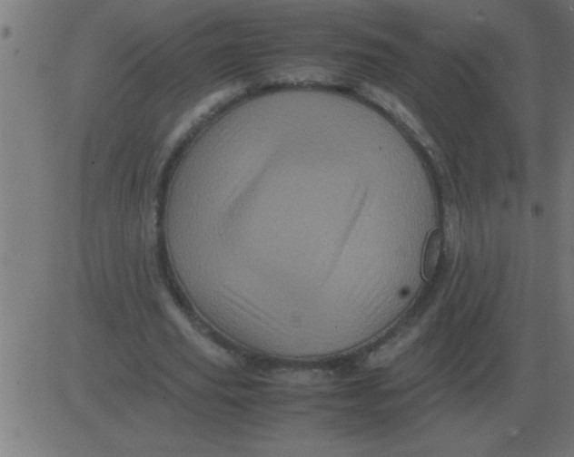 X0000081350629200702020115