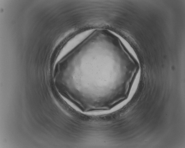 X0000081350630200702020115