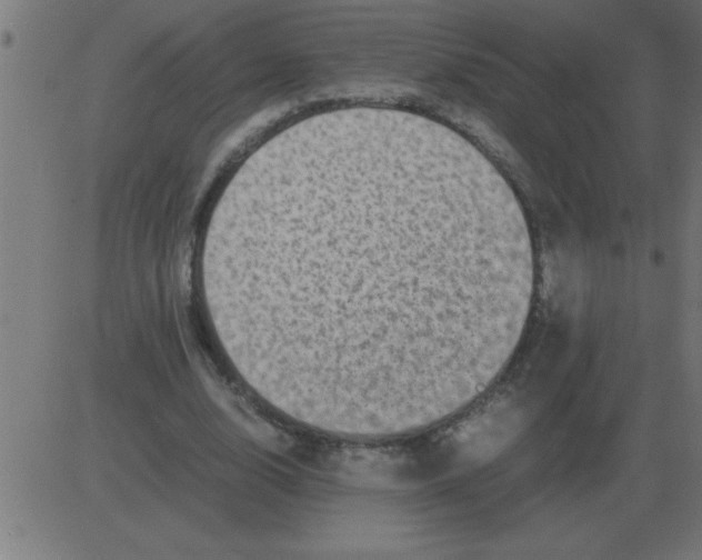 X0000081350632200702020115