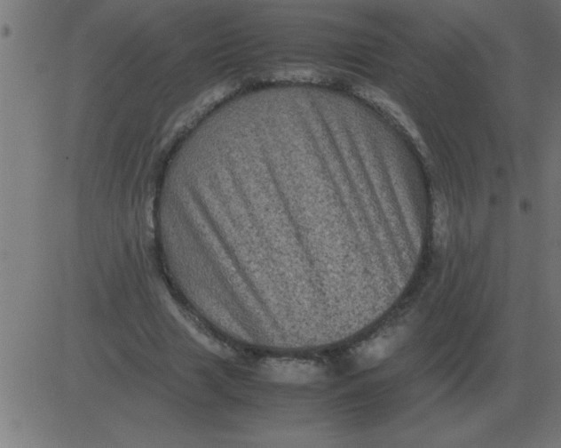 X0000081350633200702020115