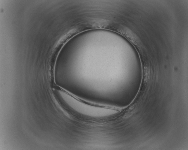 X0000081350634200702020115