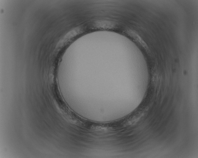 X0000081350635200702020115