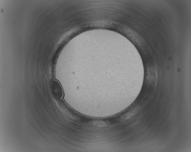 X0000081350636200702020115