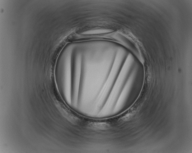 X0000081350637200702020115