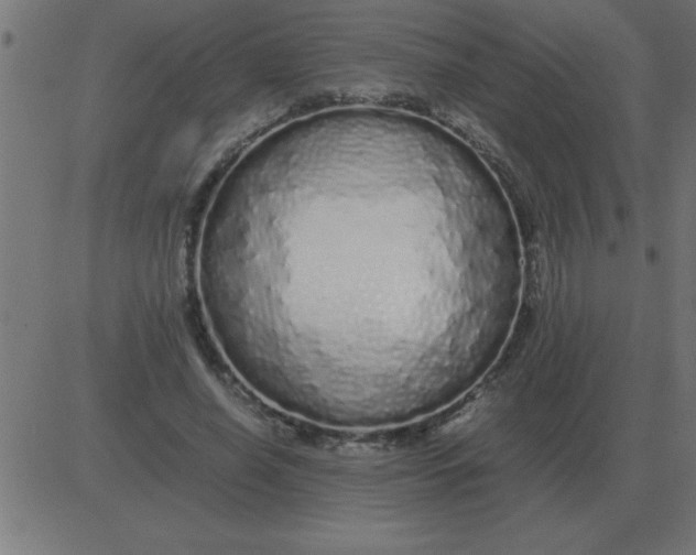 X0000081350638200702020115