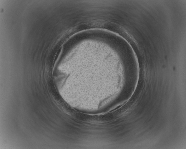 X0000081350641200702020115