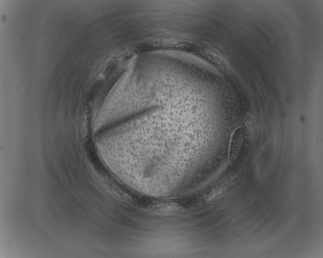 X0000081350642200702020115