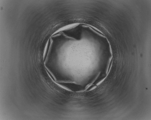 X0000081350643200702020115