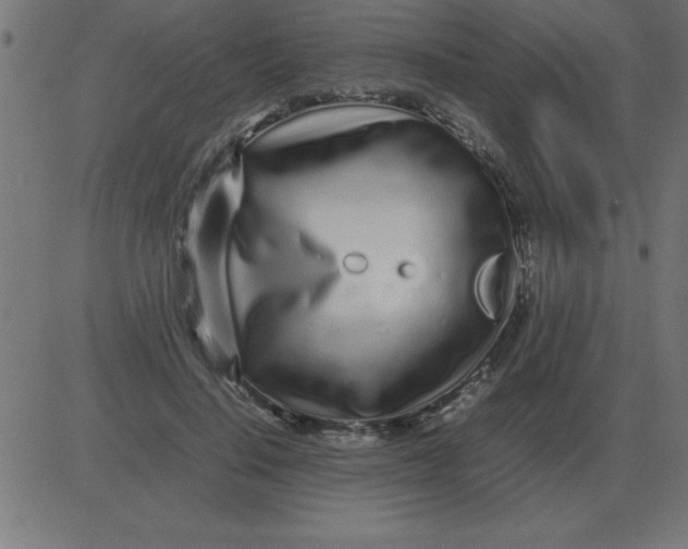 X0000081350644200702020115