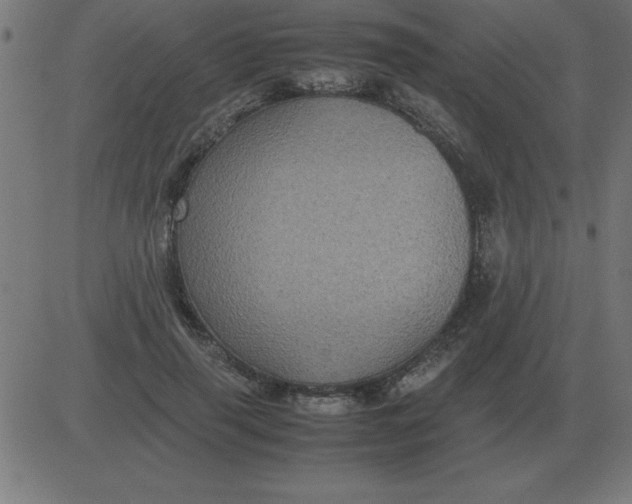 X0000081350645200702020115