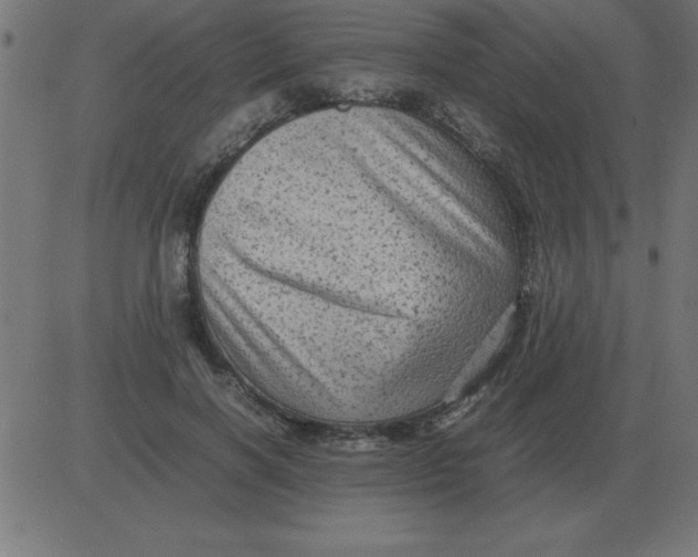 X0000081350646200702020115