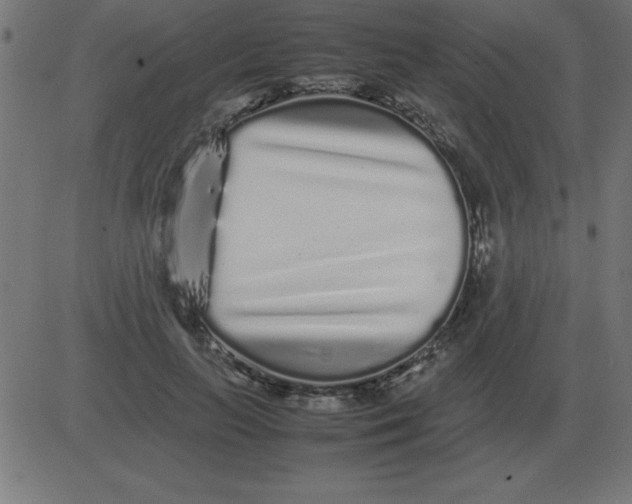 X0000081350647200702020115