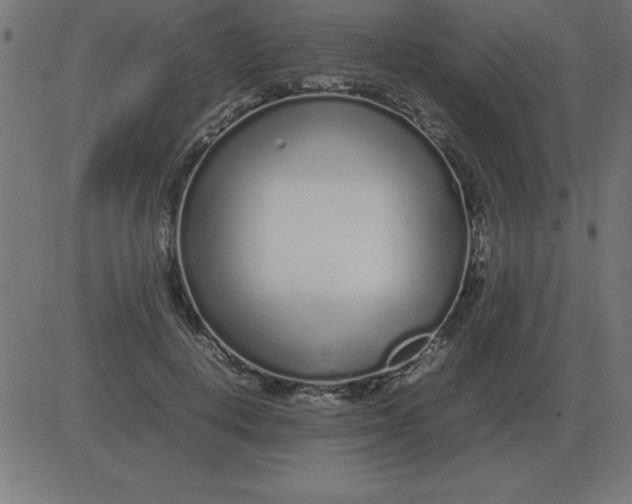 X0000081350648200702020115