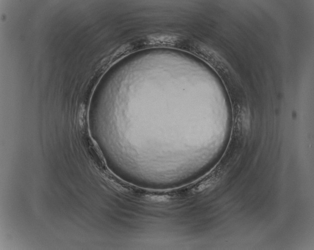 X0000081350649200702020115