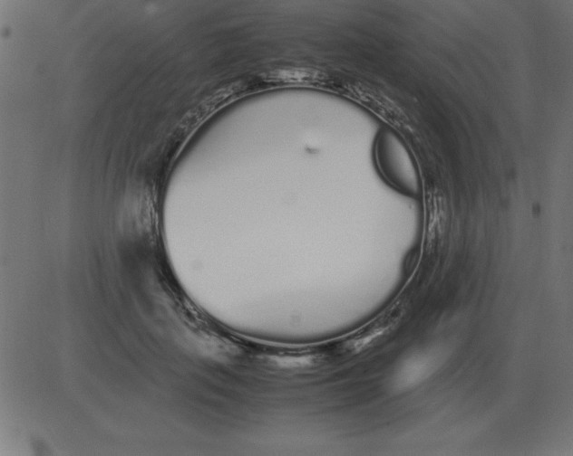 X0000081350651200702020115