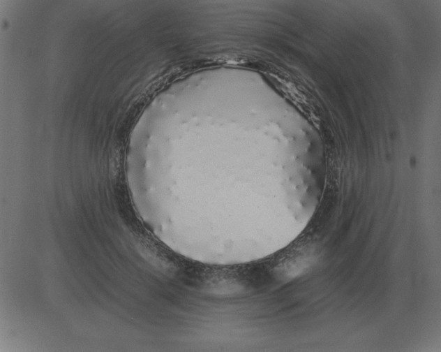 X0000081350652200702020116