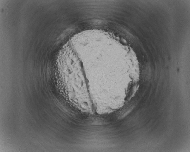 X0000081350654200702020116