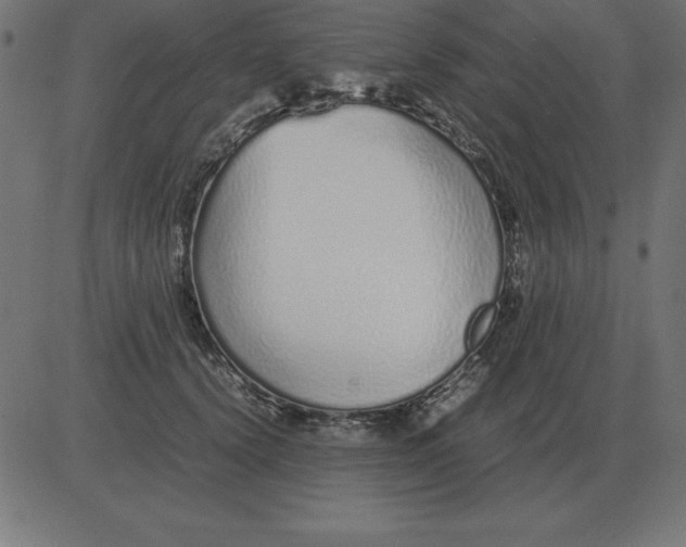 X0000081350656200702020116