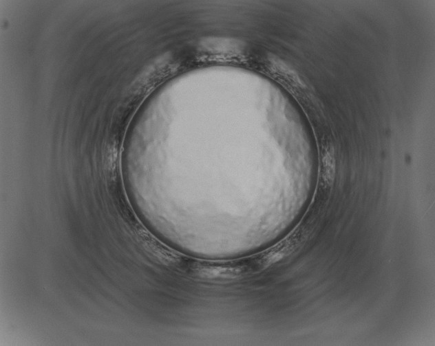 X0000081350657200702020116