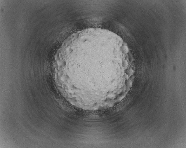 X0000081350658200702020116