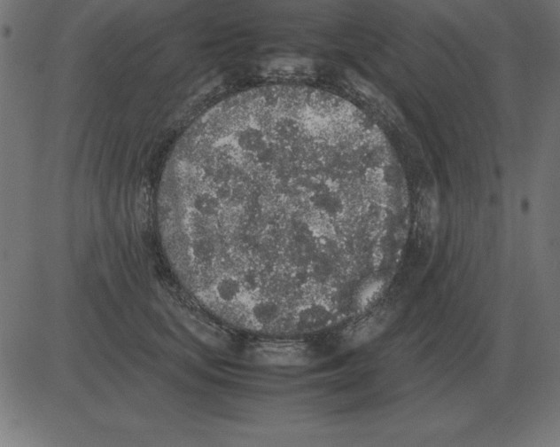 X0000081350659200702020116