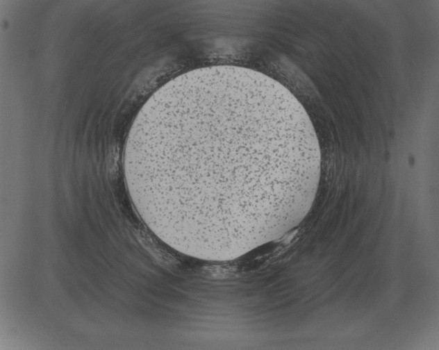 X0000081350660200702020116