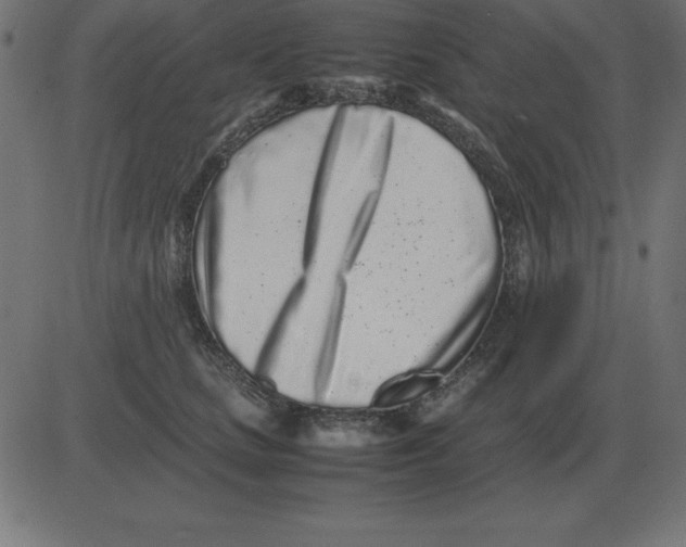 X0000081350661200702020116