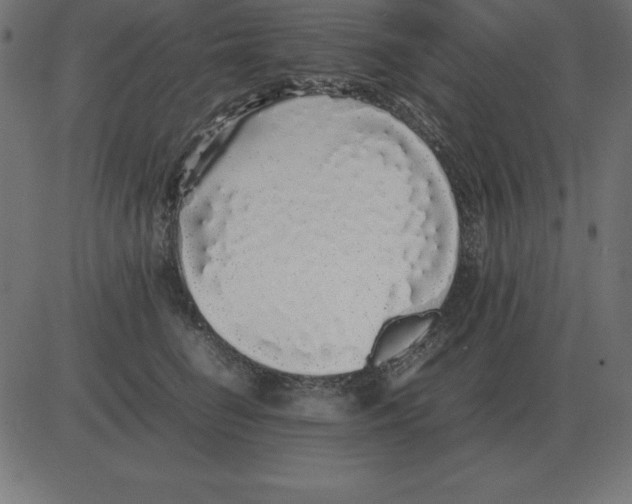 X0000081350662200702020116