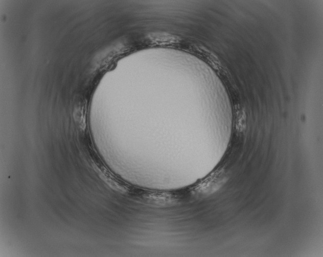 X0000081350666200702020116