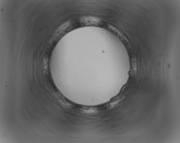 X0000081350667200702020116