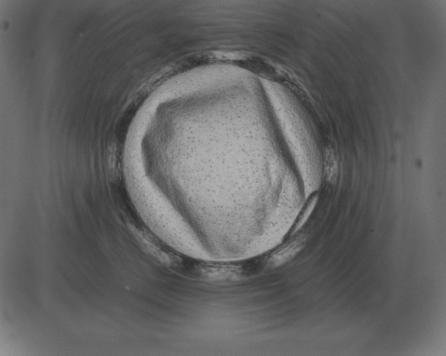 X0000081350670200702020116