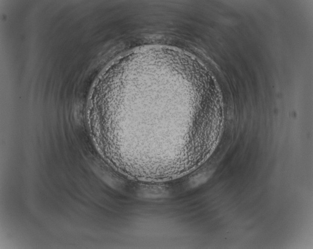 X0000081350671200702020116