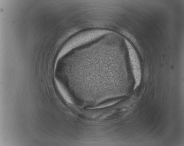 X0000081350673200702020115