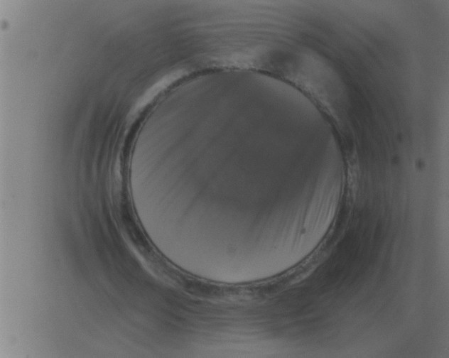 X0000081350674200702020115