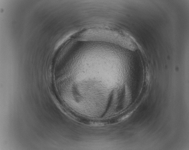 X0000081350677200702020115