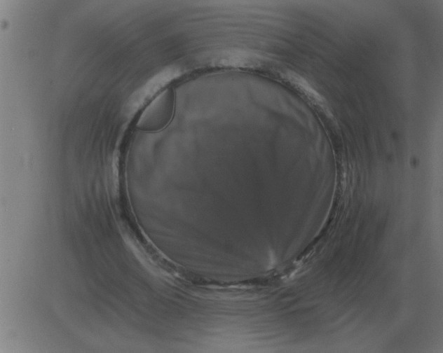 X0000081350678200702020115