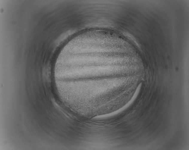 X0000081350680200702020115